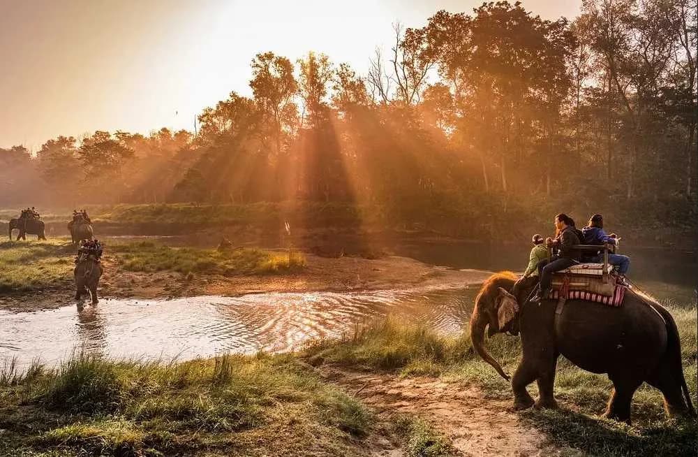 Morning elephant safari in Chitwan National Park Nepal with sun rays filtering through the forest canopy as tourists cross a river during a golden sunrise