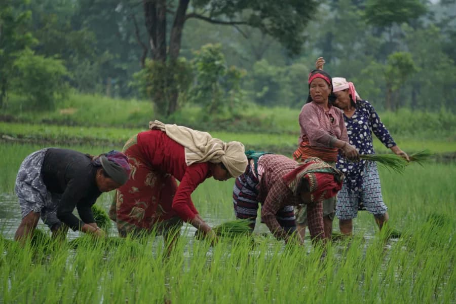 Local Farming Experience