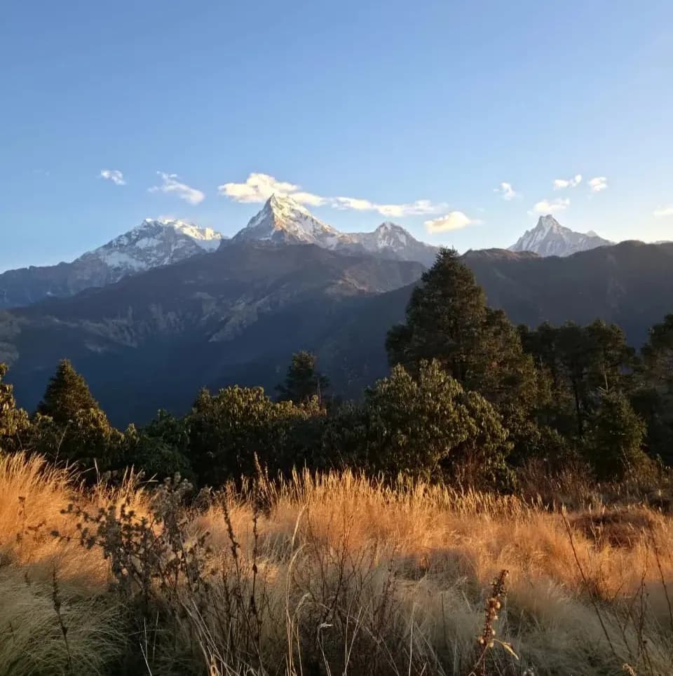 Golden sunset light on the Dhaulagiri mountain range during the Ghorepani Poon Hill Trek
